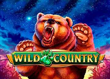 Игровой автомат Wild Country